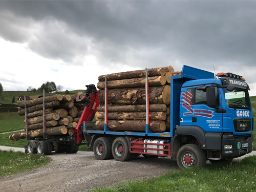 Tovorno vozilo za odkup in prevoz lesa